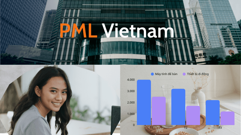 PML Vietnam phục vụ cá nhân, hộ kinh doanh và doanh nghiệp